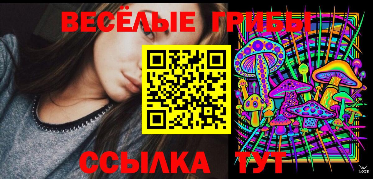 Псилоцибиновые грибы MAGIC MUSHROOMS  Псилоцибиновые грибы GOLDEN TEACHER  Вход с VPN  Нижнекамск 